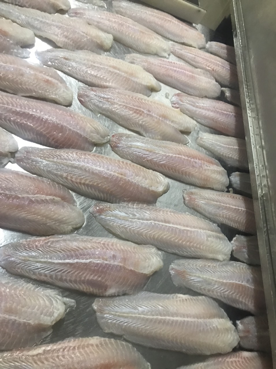 Yếu tố thịt cá basa fillet xuất khẩu.