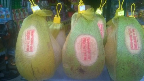 Shop Trái Cây Sạch - Đặc Sản Dừa Sáp Bến Tre.