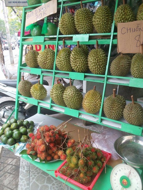 Shop Trái Cây Sạch Bến Tre - Sầu Riêng Thái.